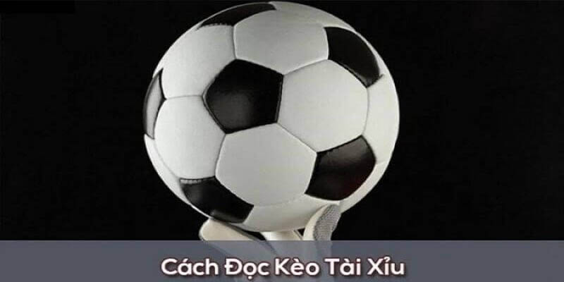 Hướng dẫn đọc kèo theo chuyên gia